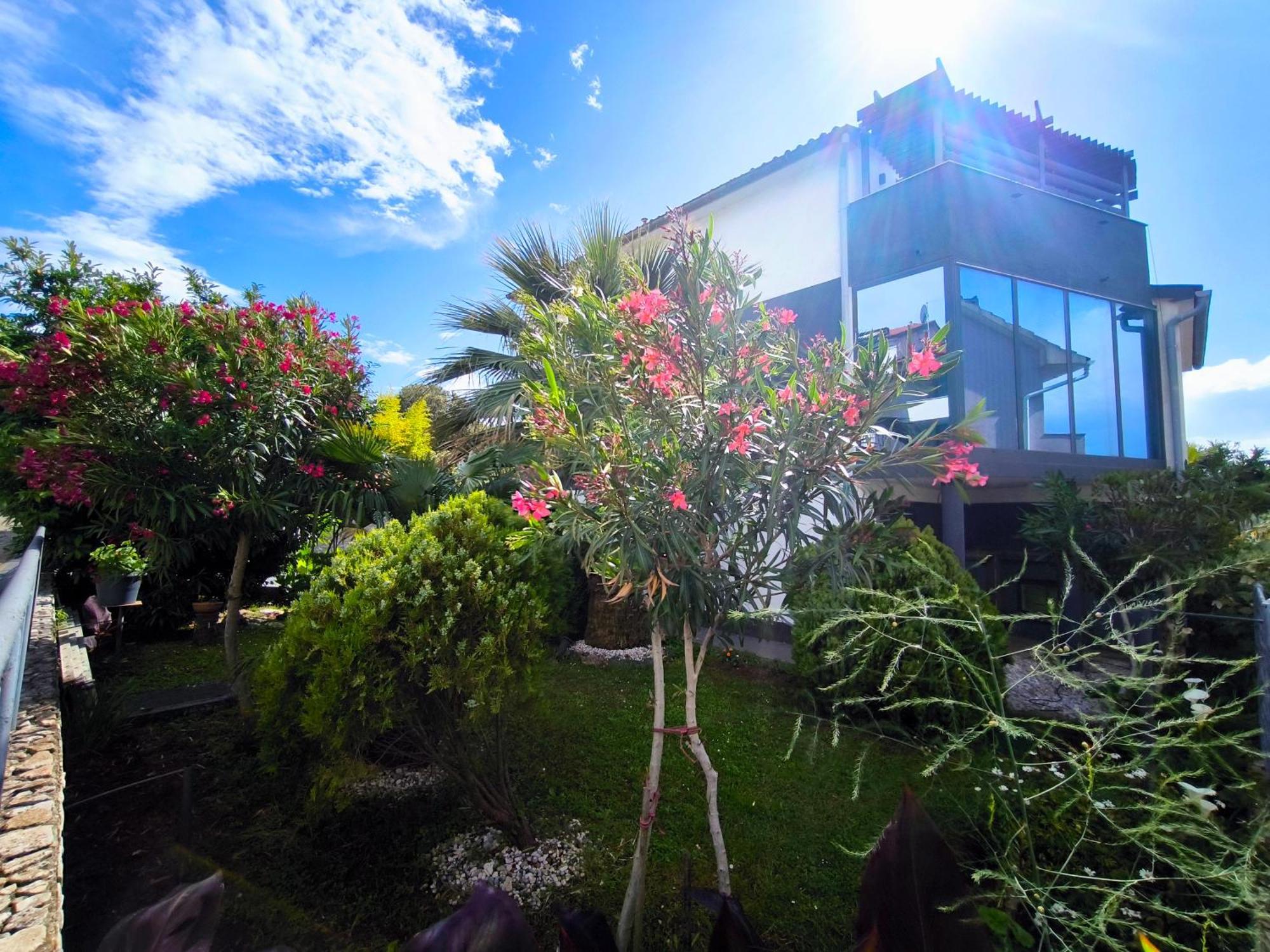 Apartmani Andrea Pula Bagian luar foto
