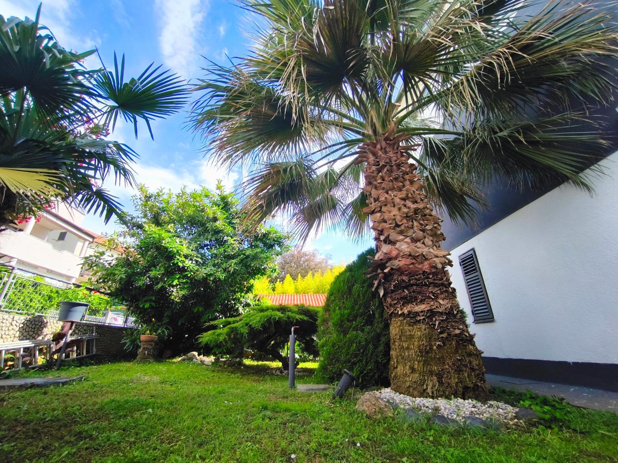 Apartmani Andrea Pula Bagian luar foto