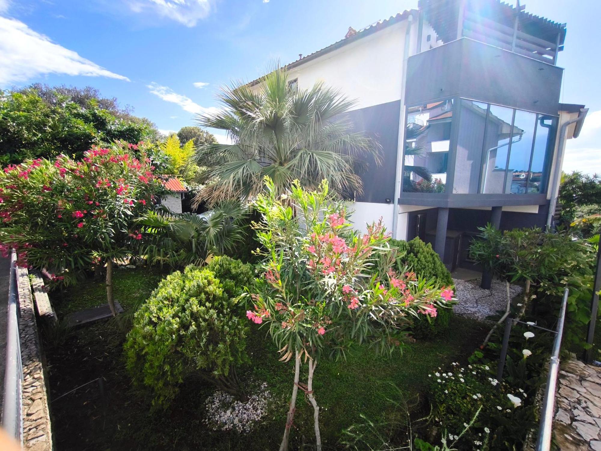 Apartmani Andrea Pula Bagian luar foto