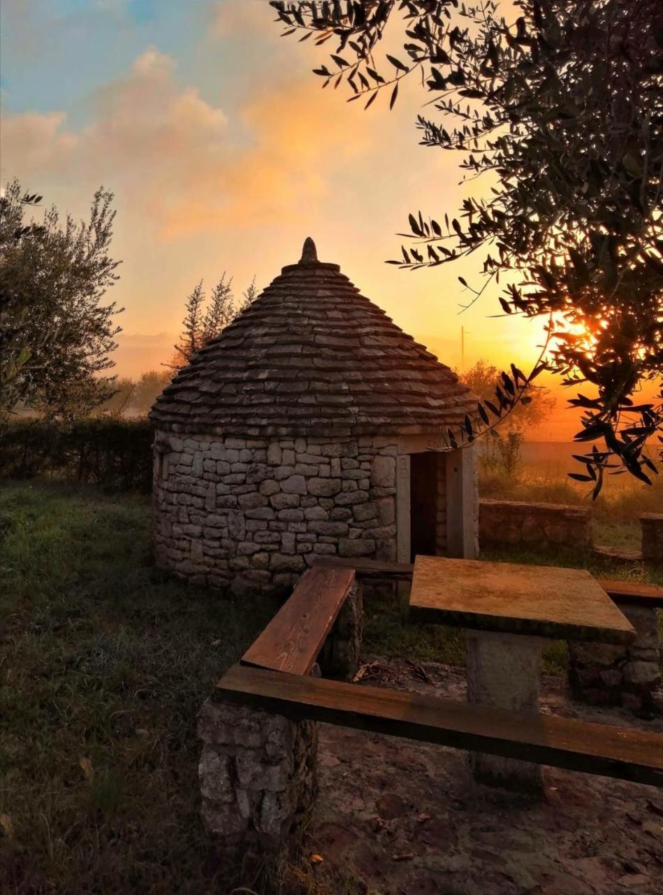 Apartmani Andrea Pula Bagian luar foto